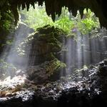 Río Camuy Cave Park