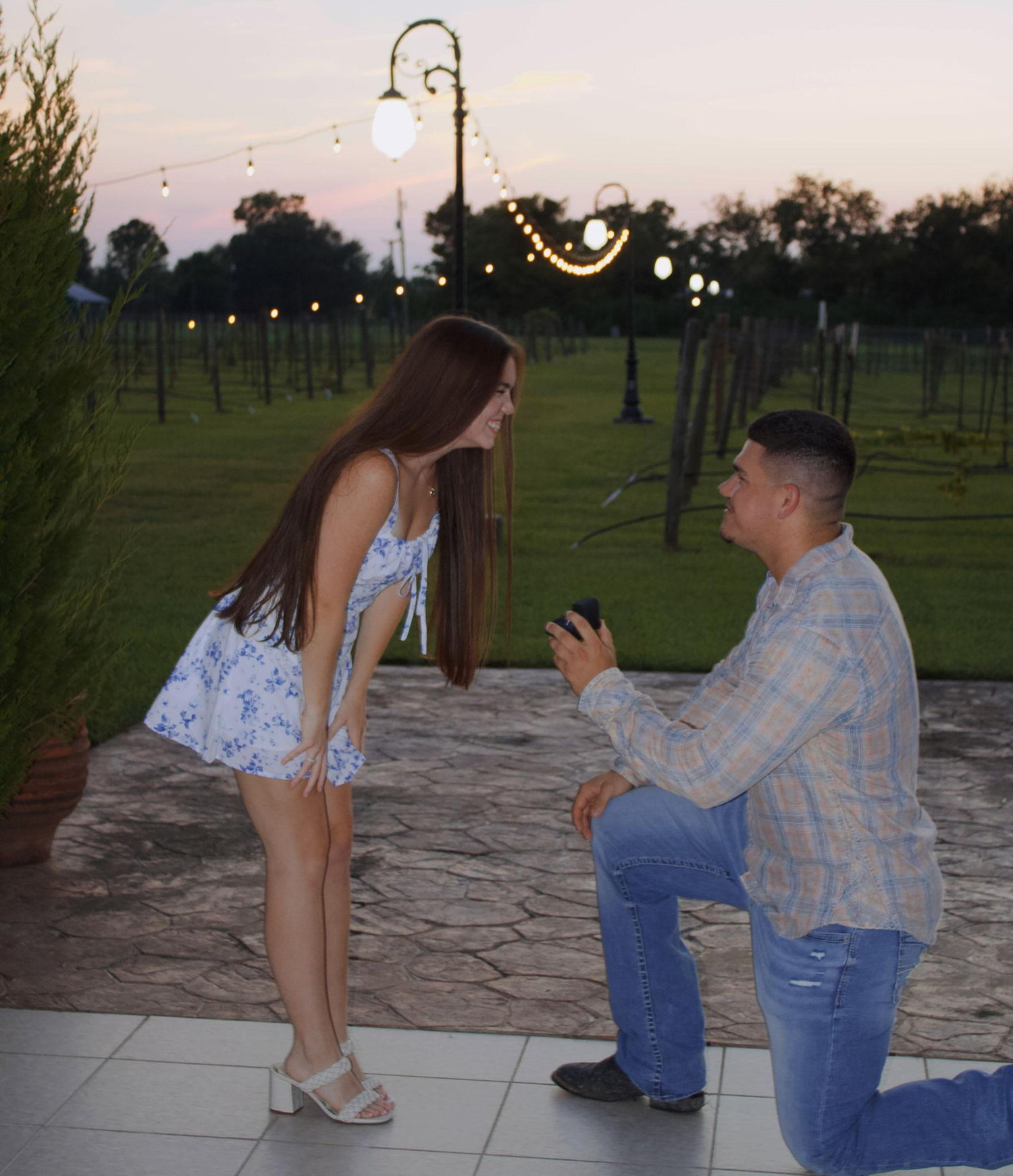 The Wedding Website of Sarah Hartzog and Dylan McDermand