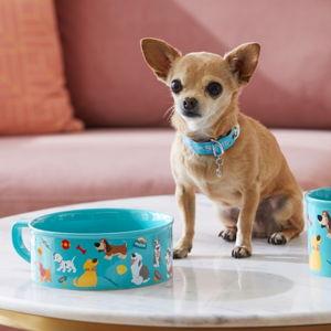 Pet Care Fees
