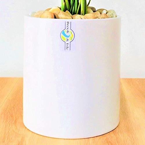 Brook & Isle - 10.25" Plant Pot Ceramic Planter - Large Flower Pots for Indoor House Plants - Perfect Fit W/Mid Century Plant Stand - Round Modern Minimalistic - Drainage Hole with Plug- Matte White