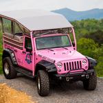 Smoky Mountains Pink Jeep Tours