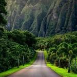 Ho’omaluhia Botanical Garden