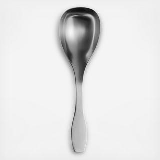 Collective Tools Serving Spoon