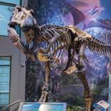 Witte Museum