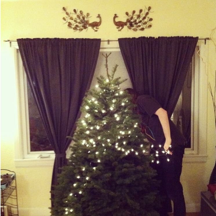 Our first and last Christmas Tree