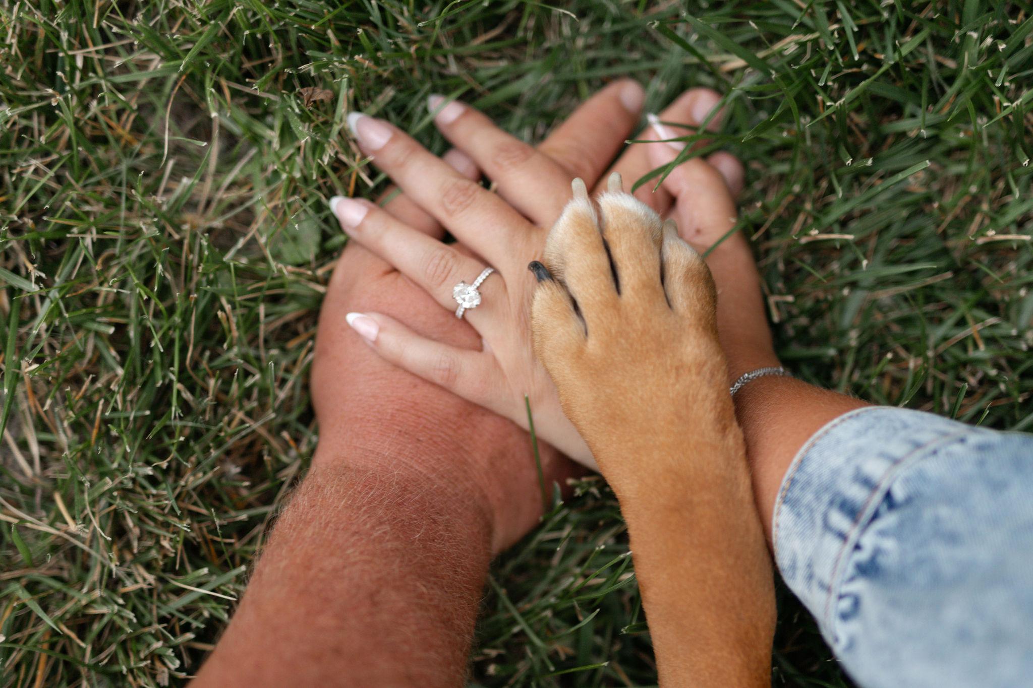The Wedding Website of Sierra Maguire and Adam Andersen