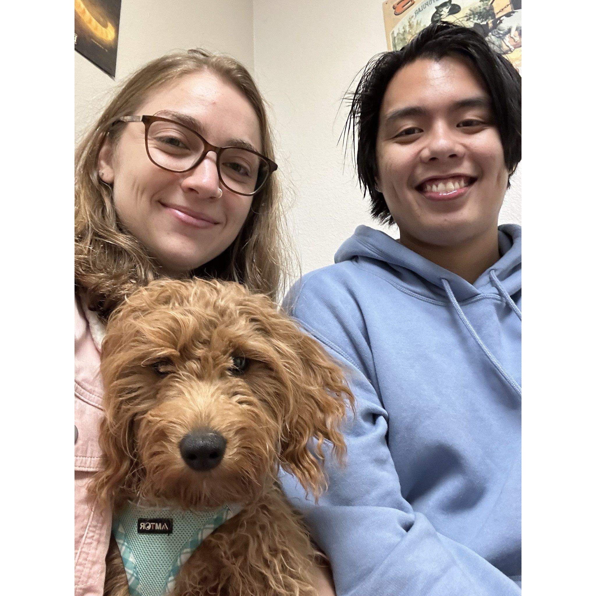 When we became crazy dog parents 2022