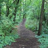 DeGraaf Nature Center