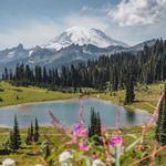 Mount Rainier National Park