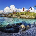 List of popular activities and excursions.