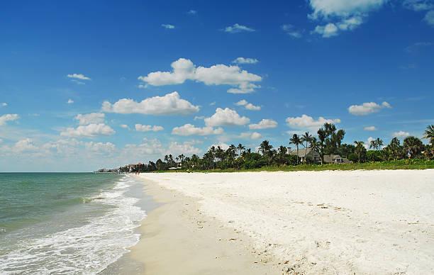 The Wedding Website of Jennifer Derrick and Martha Lima