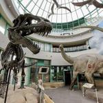 North Carolina Museum of Natural Sciences