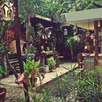 Casa Jaguar