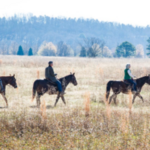 Horseback Riding
