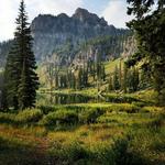 White Pine Lake Trail