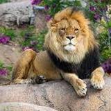 Utah's Hogle Zoo