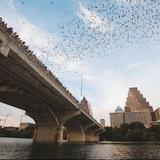 Ann W. Richards Congress Avenue Bat Bridge in Austin