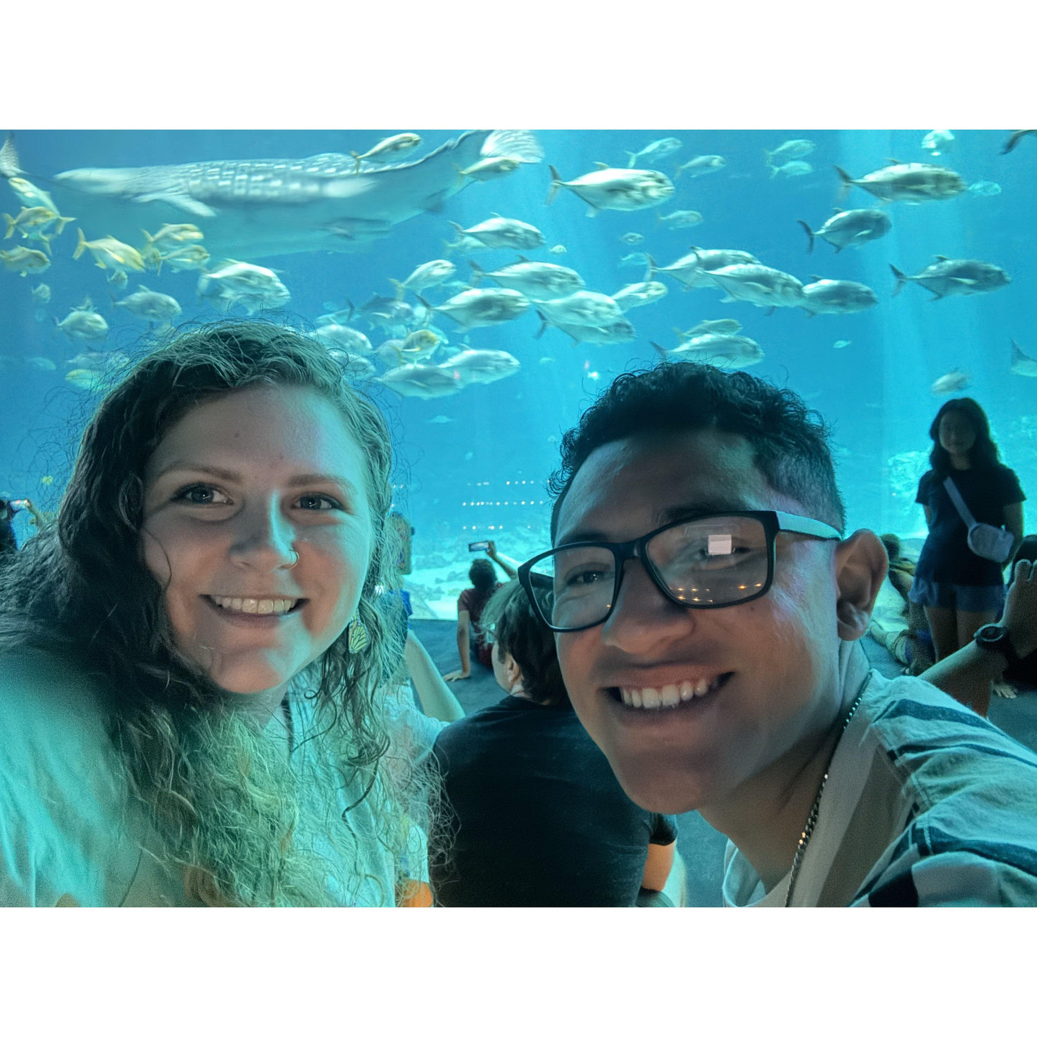 Atlanta Aquarium Trip