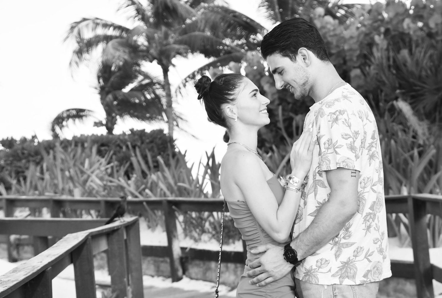 The Wedding Website of Joseph Blandisi and Riley Scott