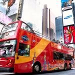 Hop-On, Hop-Off Bus Tour