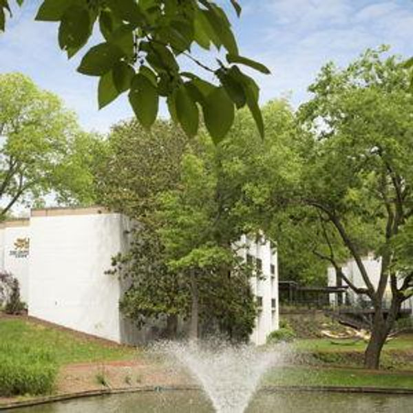 Honeymoon Stay at the Griffin Hotel
