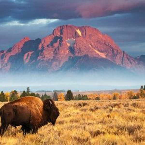 National Park Fund
