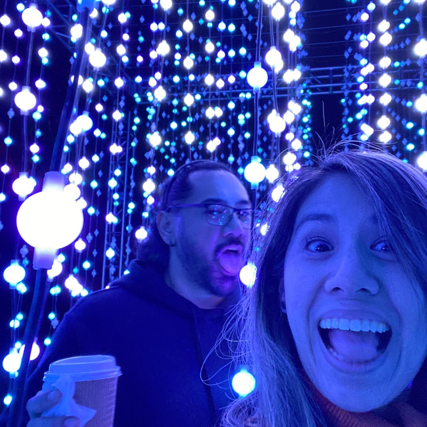 Holiday lights at the Arboretum Lightscape.