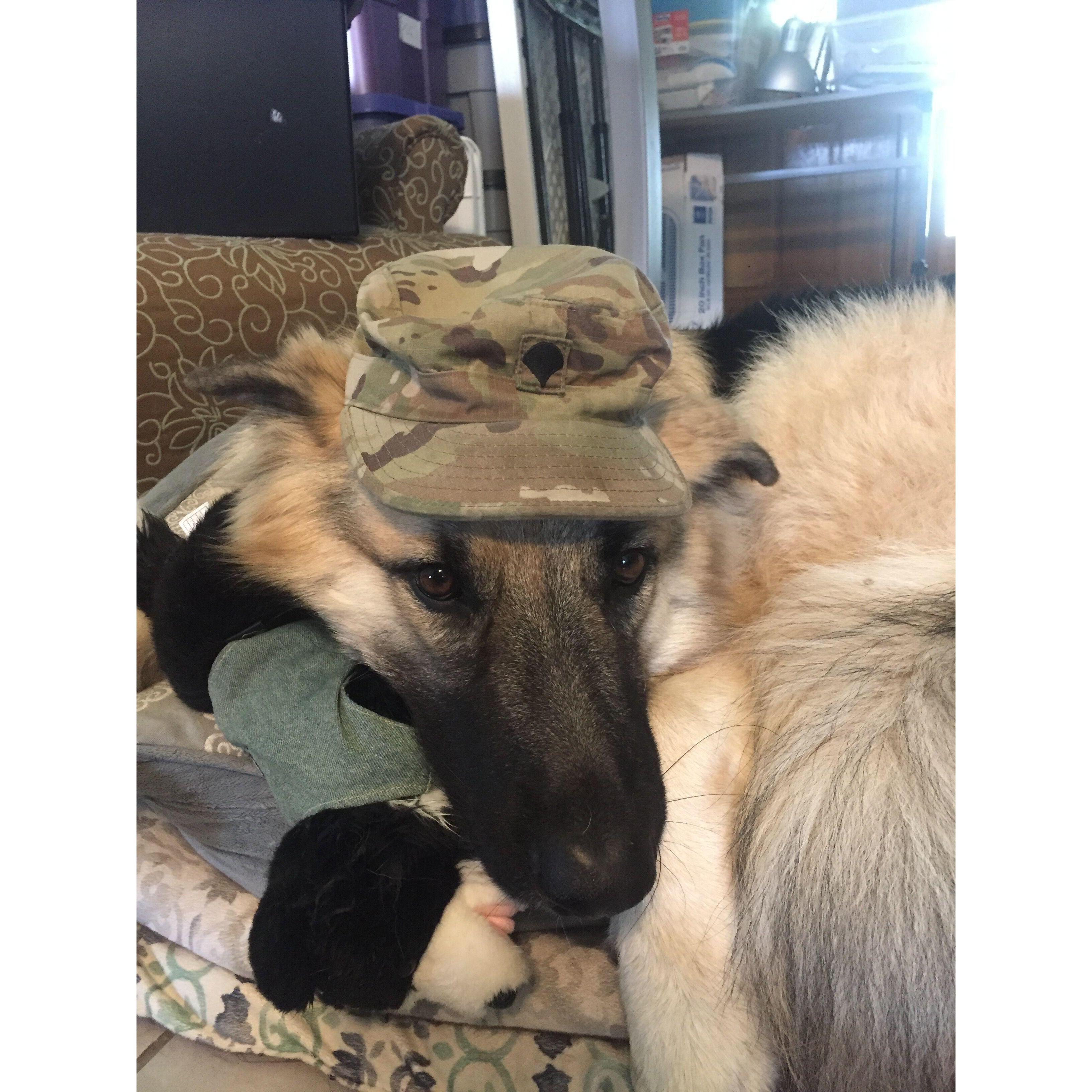 This is Jäger