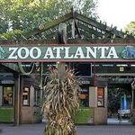 Zoo Atlanta