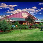 Cape Fear Vineyard and Winery