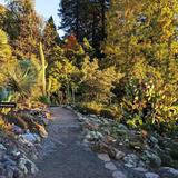 UC Riverside Botanic Gardens