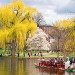 Boston Public Garden and Newbury Street
