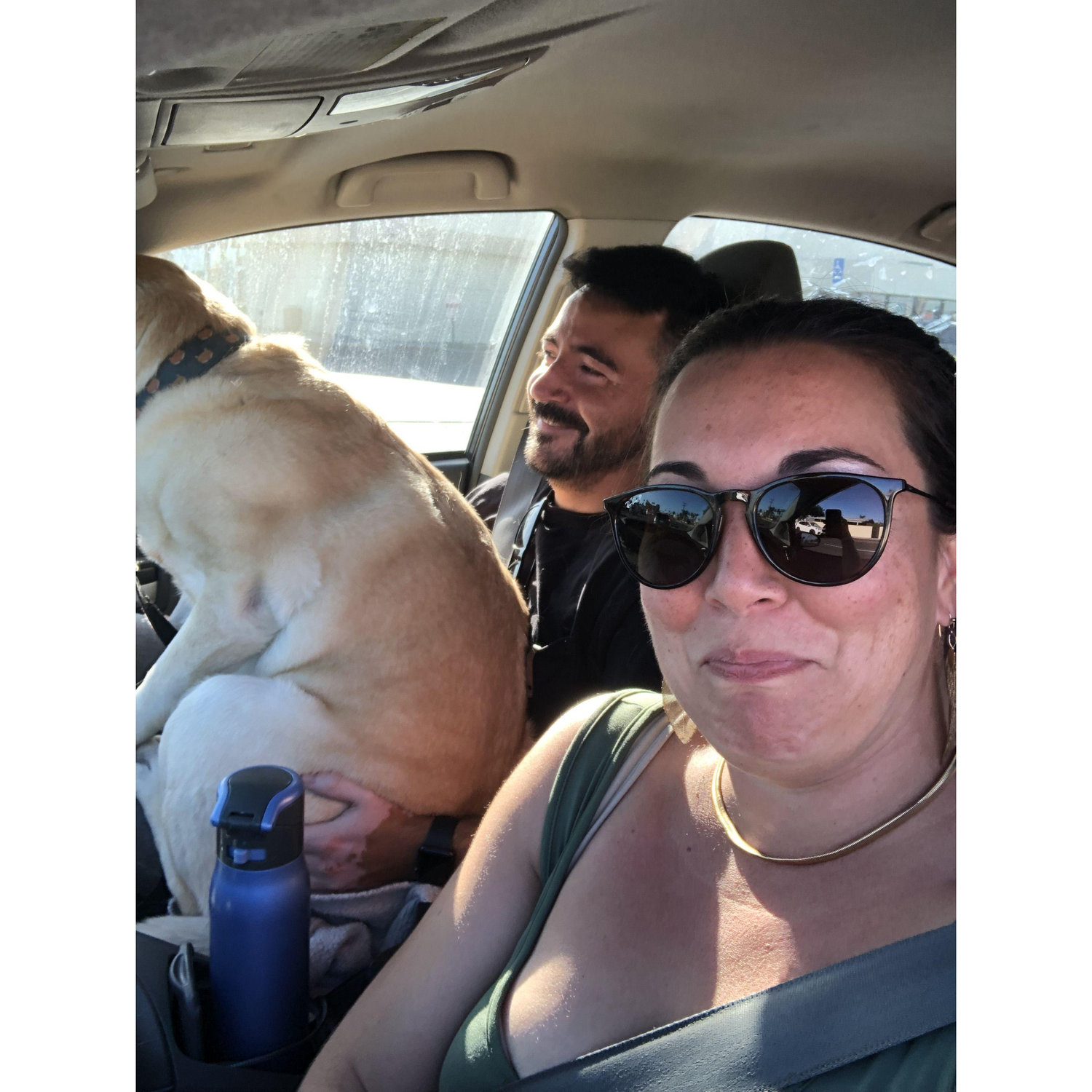 Leo the lap dog