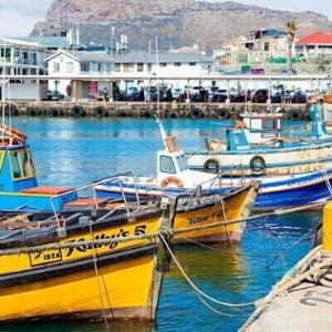 Private Full Day Cape Peninsula Tour