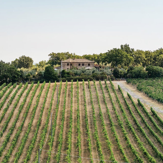 Tuscan Wine Tour
