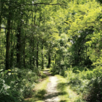 Patriots' Path - 1976 Section