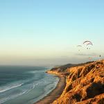 Torrey Pines State Beach
