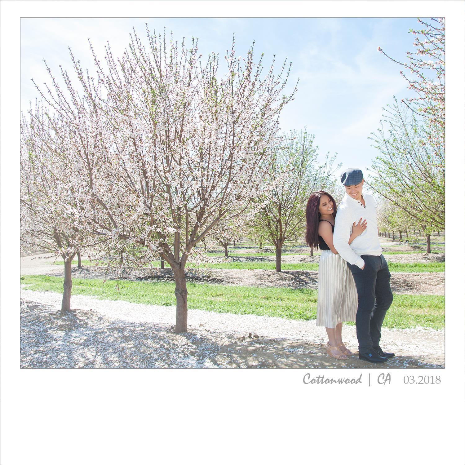 Cherry blossom.
Red Bluff, CA