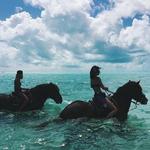 Horseback Riding
