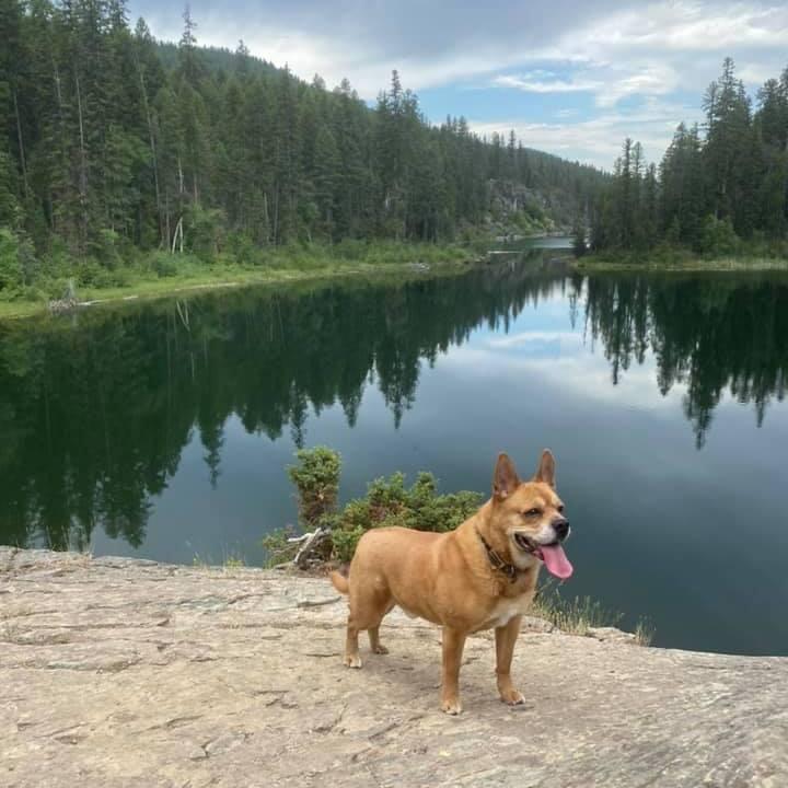 Tank Finger Lake - Short hike to great lake with Cliff Diving