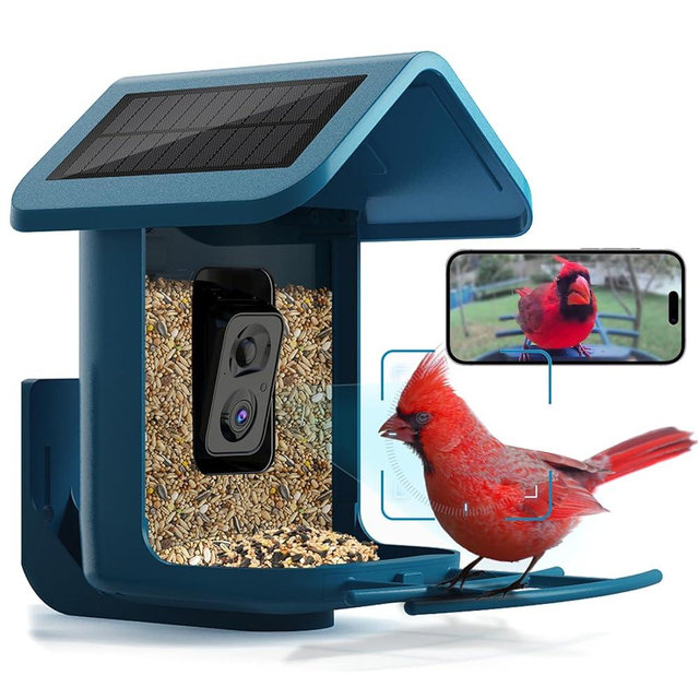 Bird Feeder with Camera Solar Powered: Smart Camera Bird Feeder 2K Live Feed Cam for Outdoor Backyard - Ai Identify Auto Capture Bird Videos, 2.4GHz WiFi Bird Camera, Gifts for Birdlover Mom Dad