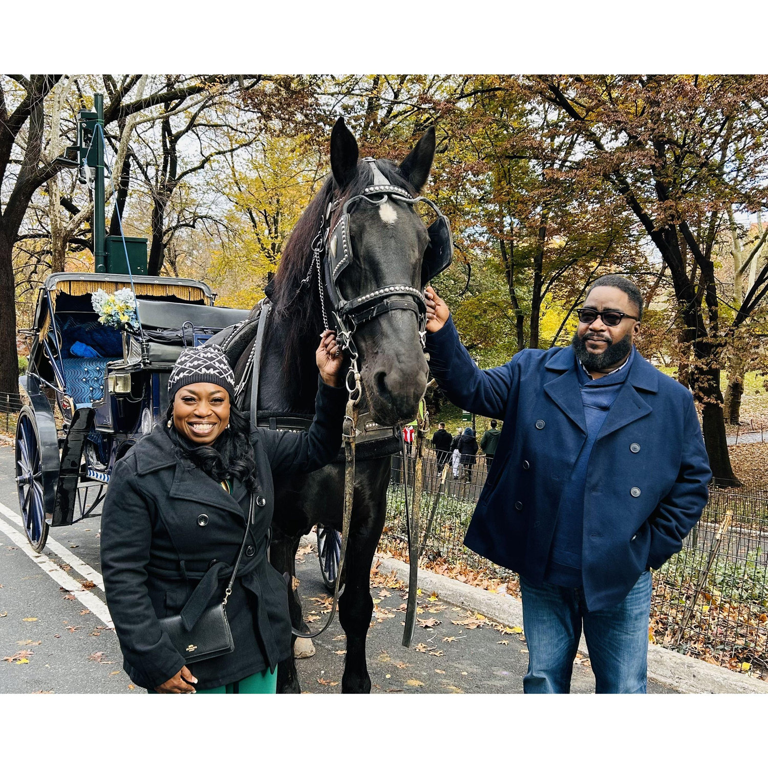 NYC - Carriage Ride through Central Park - Minutes before the surprise proposal - November 22, 2023