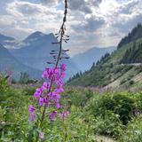Glacier National Park