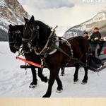 Winter Sleigh Rides