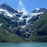 Kenai Fjords Tours
