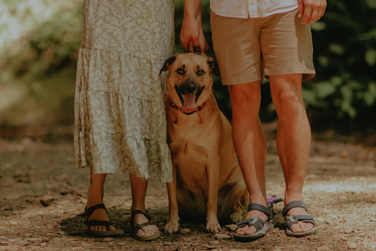 The Wedding Website of Kristen Ruta and Jonathan Cole Galusha