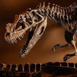 Natural History Museum of Utah