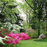 National Arboretum