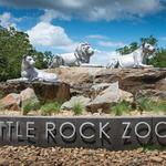 Little Rock Zoo