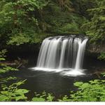 Butte Creek Falls